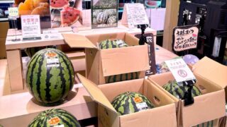 菜々色マルシェは「スイカ」がたくさん！ | 道の駅 萩往還