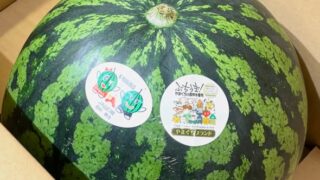 夏が来た！相島スイカ初物入荷！ | 道の駅 萩往還
